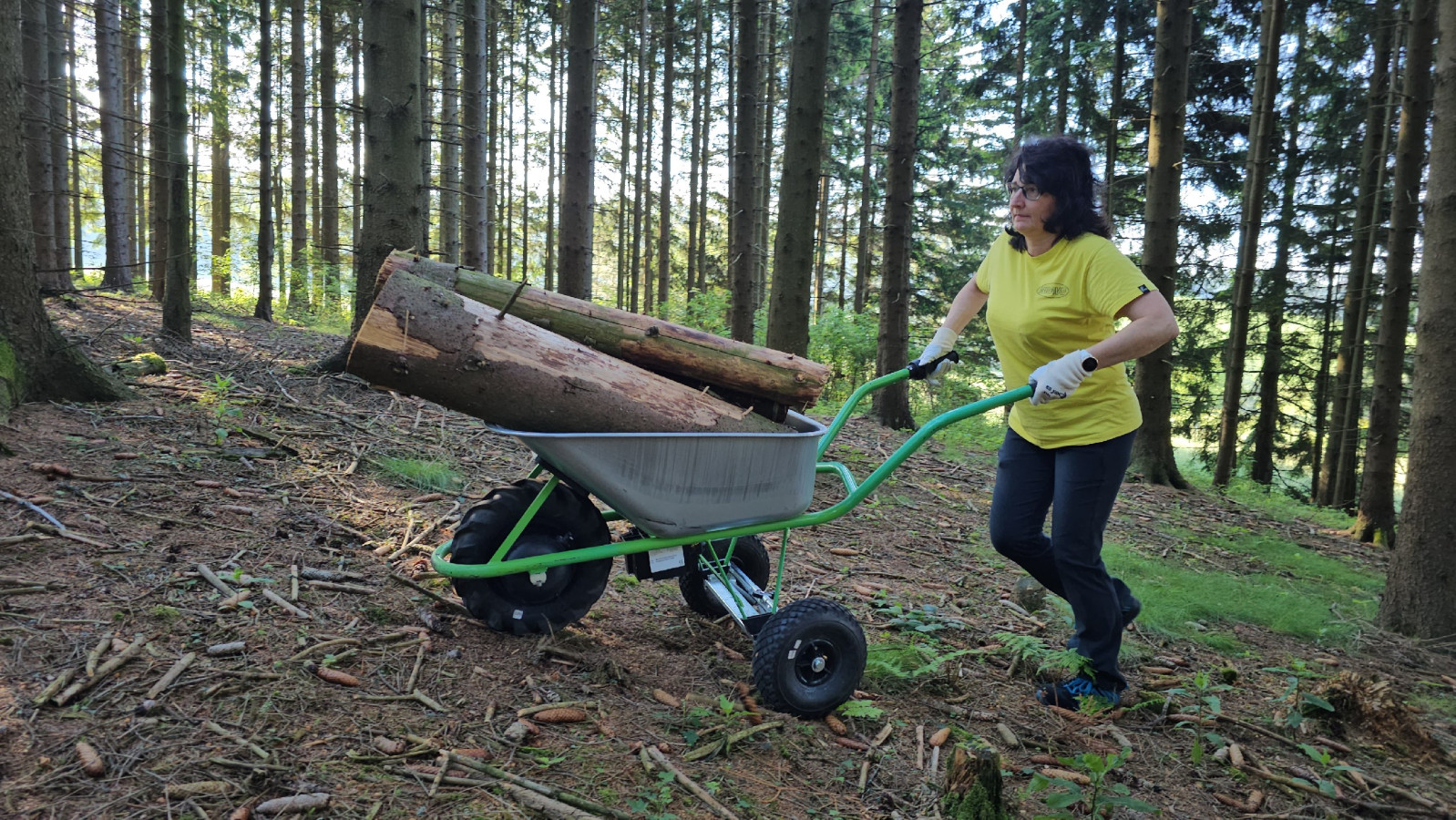 STANDARD CLASSIC - zdjęcie