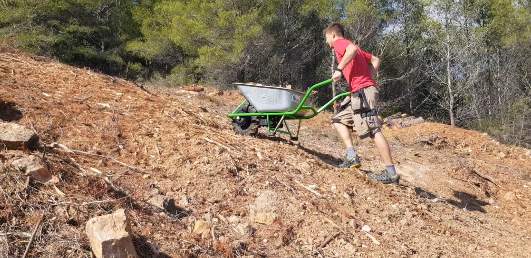 STANDARD CLASSIC - zdjęcie