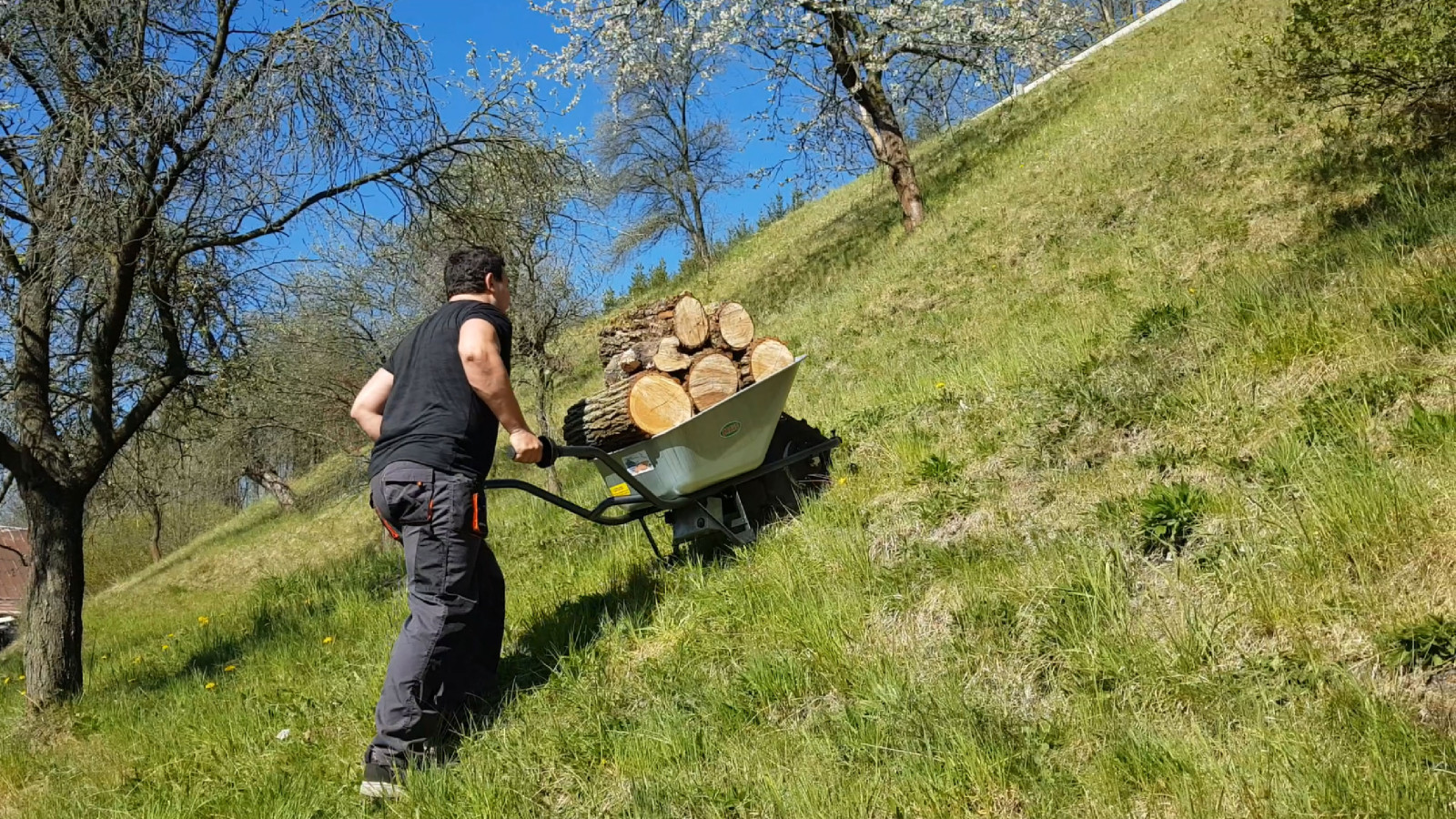 EXTRA POWER - zdjęcie